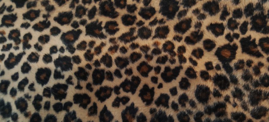 Leopardenmuster: Lasst uns was reißen