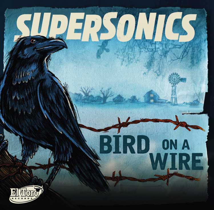 Albumcover Bird on a wire